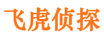 颍州市侦探公司